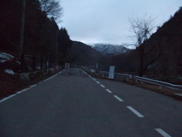 二股～猿倉は完全な林道歩きです。